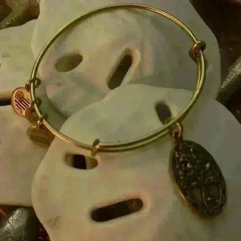 Alex & Ani friend bracelet  ❤️❤️🌺🍓